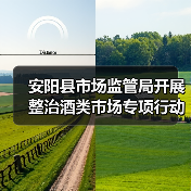 安阳县市场监管局开展整治酒类市场专项行动（图4）