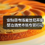 安阳县市场监管局开展整治酒类市场专项行动（图1）