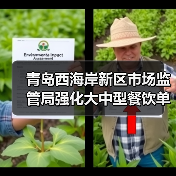 青岛西海岸新区市场监管局强化大中型餐饮单位食品安全监管(图3) 青岛西海岸新区市场监管局强化大中型餐饮单位食品安全监管(图3)
