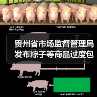 贵州省市场监督管理局发布粽子等商品过度包装典型案例