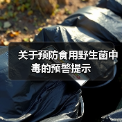 关于预防食用野生菌中毒的预警提示