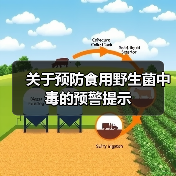 关于预防食用野生菌中毒的预警提示(图2) 关于预防食用野生菌中毒的预警提示(图2)