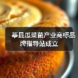 莘县瓜菜菌产业商标品牌指导站成立