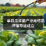 莘县瓜菜菌产业商标品牌指导站成立(图4) 莘县瓜菜菌产业商标品牌指导站成立(图4)