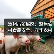 漳州市芗城区：聚焦农村食品安全，守牢农村食品“安全阀”