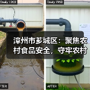 漳州市芗城区:聚焦农村食品安全,守牢农村食品“安全阀”(图4) 漳州市芗城区:聚焦农村食品安全,守牢农村食品“安全阀”(图4)