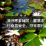 漳州市芗城区:聚焦农村食品安全,守牢农村食品“安全阀”(图2) 漳州市芗城区:聚焦农村食品安全,守牢农村食品“安全阀”(图2)