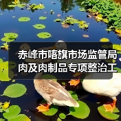 赤峰市喀旗市场监管局肉及肉制品专项整治工作取得成效(图4) 赤峰市喀旗市场监管局肉及肉制品专项整治工作取得成效(图4)