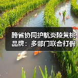 跨省协同护航炎陵黄桃品牌:多部门联合打假维权行动(图3) 跨省协同护航炎陵黄桃品牌:多部门联合打假维权行动(图3)
