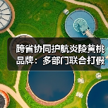 跨省协同护航炎陵黄桃品牌:多部门联合打假维权行动(图4) 跨省协同护航炎陵黄桃品牌:多部门联合打假维权行动(图4)