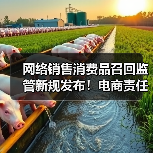 网络销售消费品召回监管新规发布!电商责任明确破解行业痛点(图2) 网络销售消费品召回监管新规发布!电商责任明确破解行业痛点(图2)