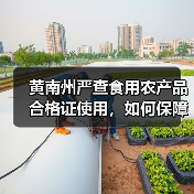 黄南州严查食用农产品合格证使用,如何保障舌尖安全?(图3) 黄南州严查食用农产品合格证使用,如何保障舌尖安全?(图3)