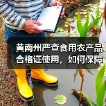 黄南州严查食用农产品合格证使用,如何保障舌尖安全?(图4) 黄南州严查食用农产品合格证使用,如何保障舌尖安全?(图4)