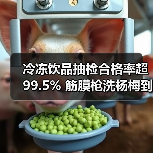 冷冻饮品抽检合格率超99.5% 筋膜枪洗杨梅到底靠谱吗?(图3) 冷冻饮品抽检合格率超99.5% 筋膜枪洗杨梅到底靠谱吗?(图3)