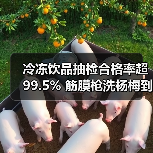 冷冻饮品抽检合格率超99.5% 筋膜枪洗杨梅到底靠谱吗?(图2) 冷冻饮品抽检合格率超99.5% 筋膜枪洗杨梅到底靠谱吗?(图2)