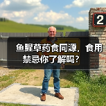 鱼腥草药食同源,食用禁忌你了解吗?(图2) 鱼腥草药食同源,食用禁忌你了解吗?(图2)