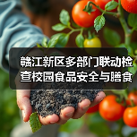 赣江新区多部门联动检查校园食品安全与膳食经费(图3) 赣江新区多部门联动检查校园食品安全与膳食经费(图3)
