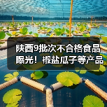 陕西9批次不合格食品曝光!椒盐瓜子等产品添加剂超标(图3) 陕西9批次不合格食品曝光!椒盐瓜子等产品添加剂超标(图3)