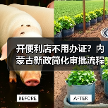 开便利店不用办证？内蒙古新政简化审批流程（图3）