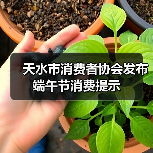 天水市消费者协会发布端午节消费提示(图4) 天水市消费者协会发布端午节消费提示(图4)