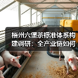 梧州六堡茶标准体系构建调研:全产业链如何标准化?(图4) 梧州六堡茶标准体系构建调研:全产业链如何标准化?(图4)