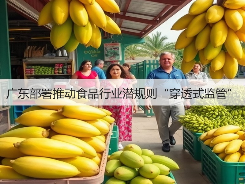 广东部署推动食品行业潜规则“穿透式监管”