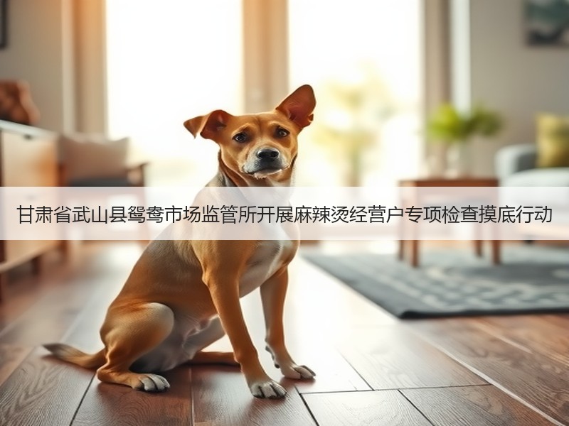 甘肃省武山县鸳鸯市场监管所开展麻辣烫经营户专项检查摸底行动