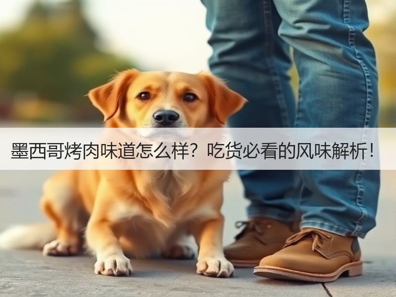 墨西哥烤肉味道怎么样？吃货必看的风味解析！