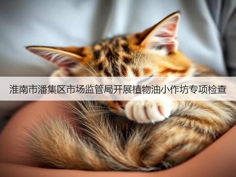 淮南市潘集区市场监管局开展植物油小作坊专项检查