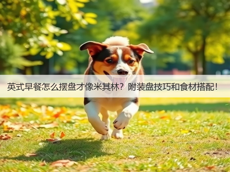 英式早餐怎么摆盘才像米其林？附装盘技巧和食材搭配！