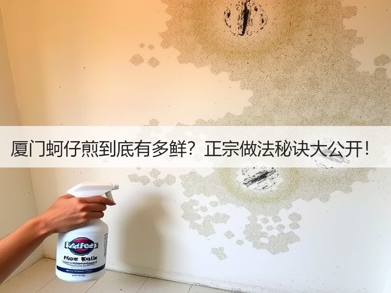 厦门蚵仔煎到底有多鲜？正宗做法秘诀大公开！