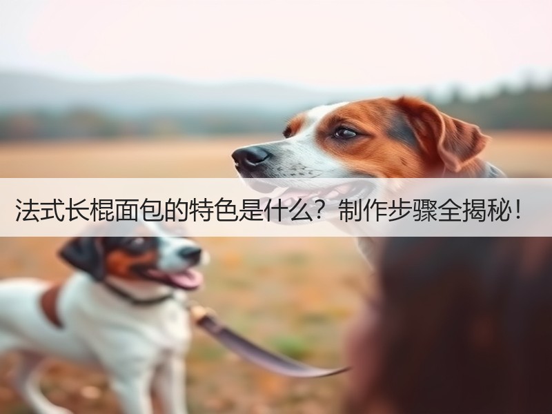 法式长棍面包的特色是什么？制作步骤全揭秘！