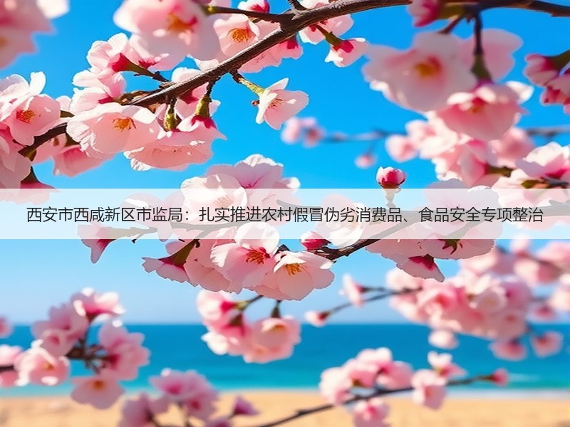 西安市西咸新区市监局：扎实推进农村假冒伪劣消费品、食品安全专项整治